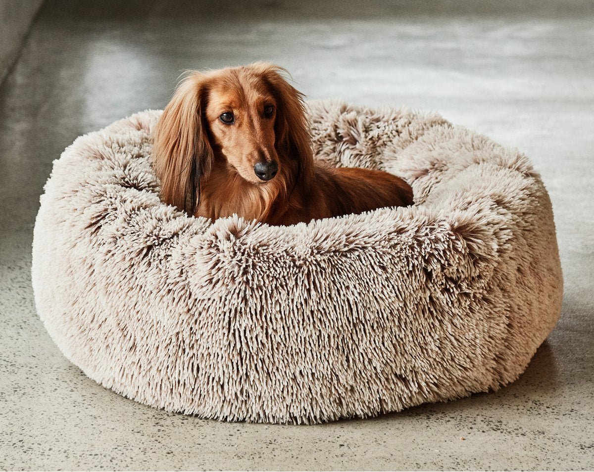 Dog Beds from Snooza Australia