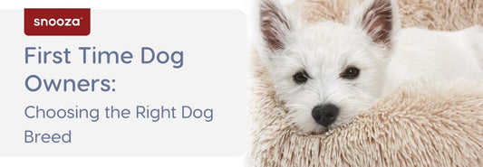 First Time Dog Owners: Choosing the Right Dog Breed - Snooza Pet Products