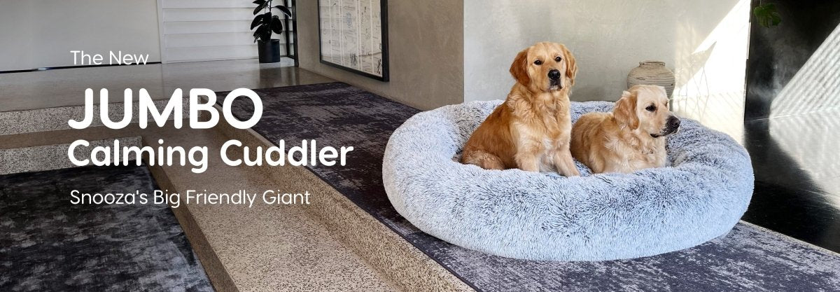 Human Size Dog Bed Snooza s Jumbo Calming Cuddler Snooza Pet Products