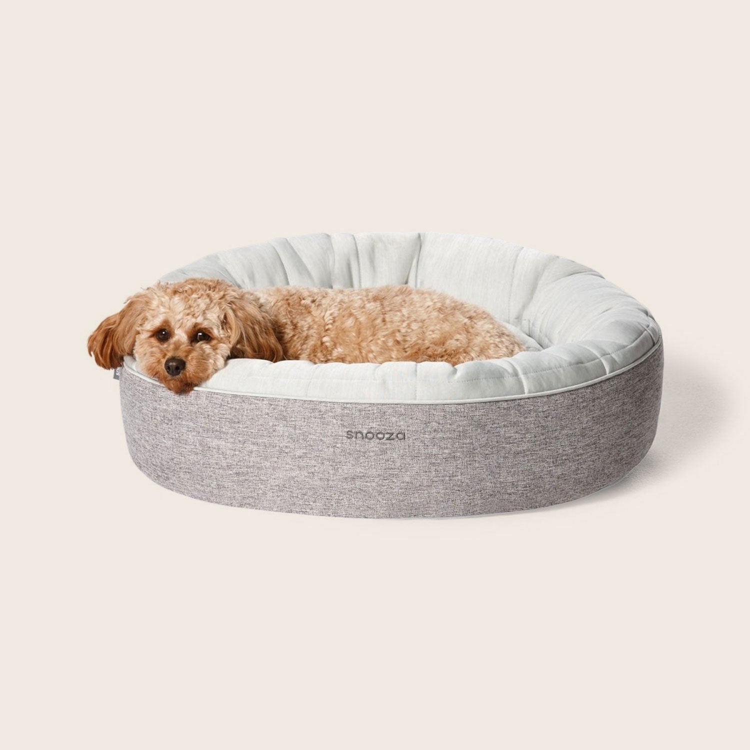 Large Dog Beds from Snooza Australia