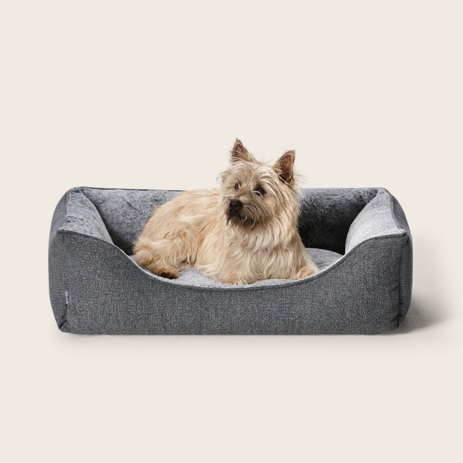 Kong lounger dog bed replacement cover best sale