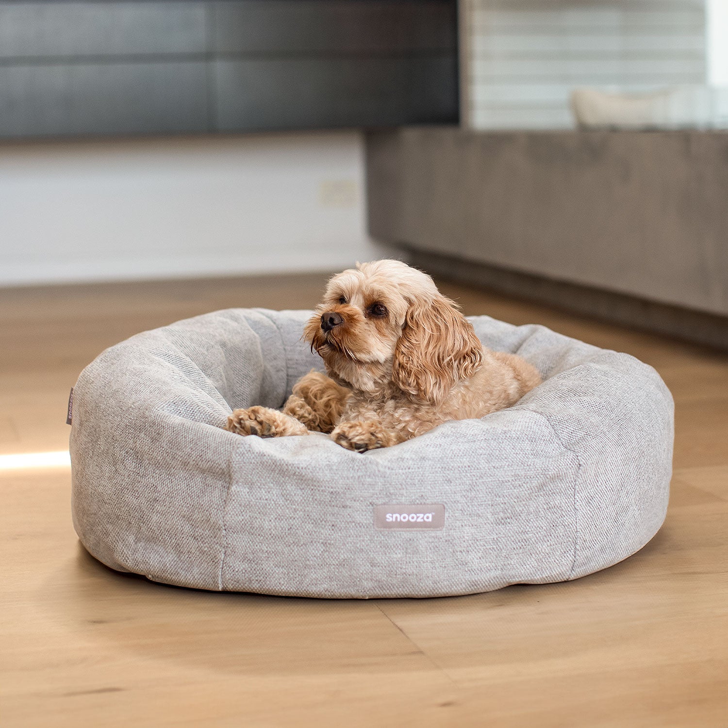 Snooza Modern Cuddler Dog Bed Buy Direct at Snooza