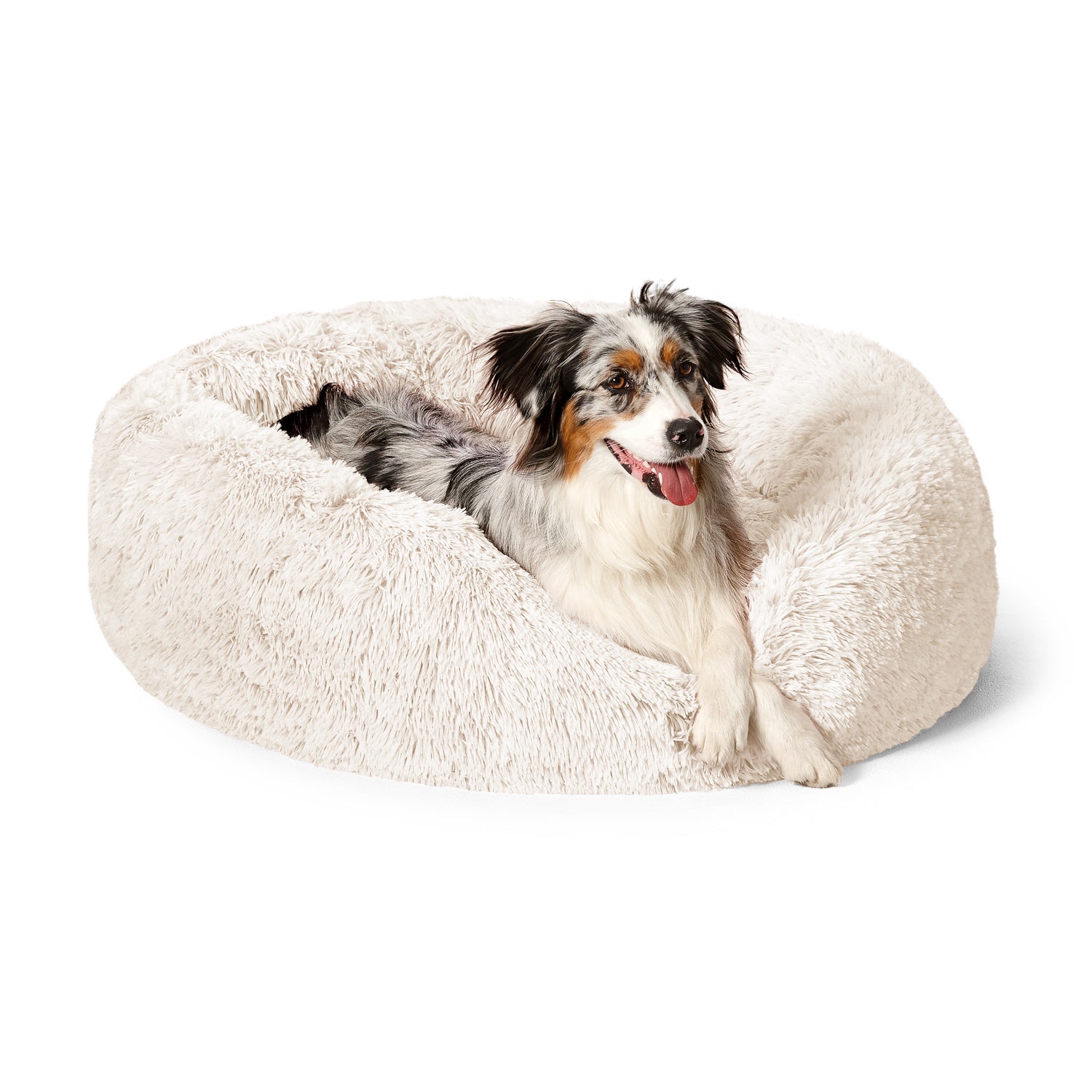 Best french hotsell bulldog beds