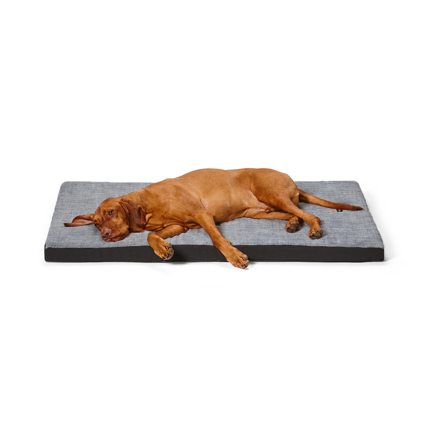 Foam mats 2024 for dogs