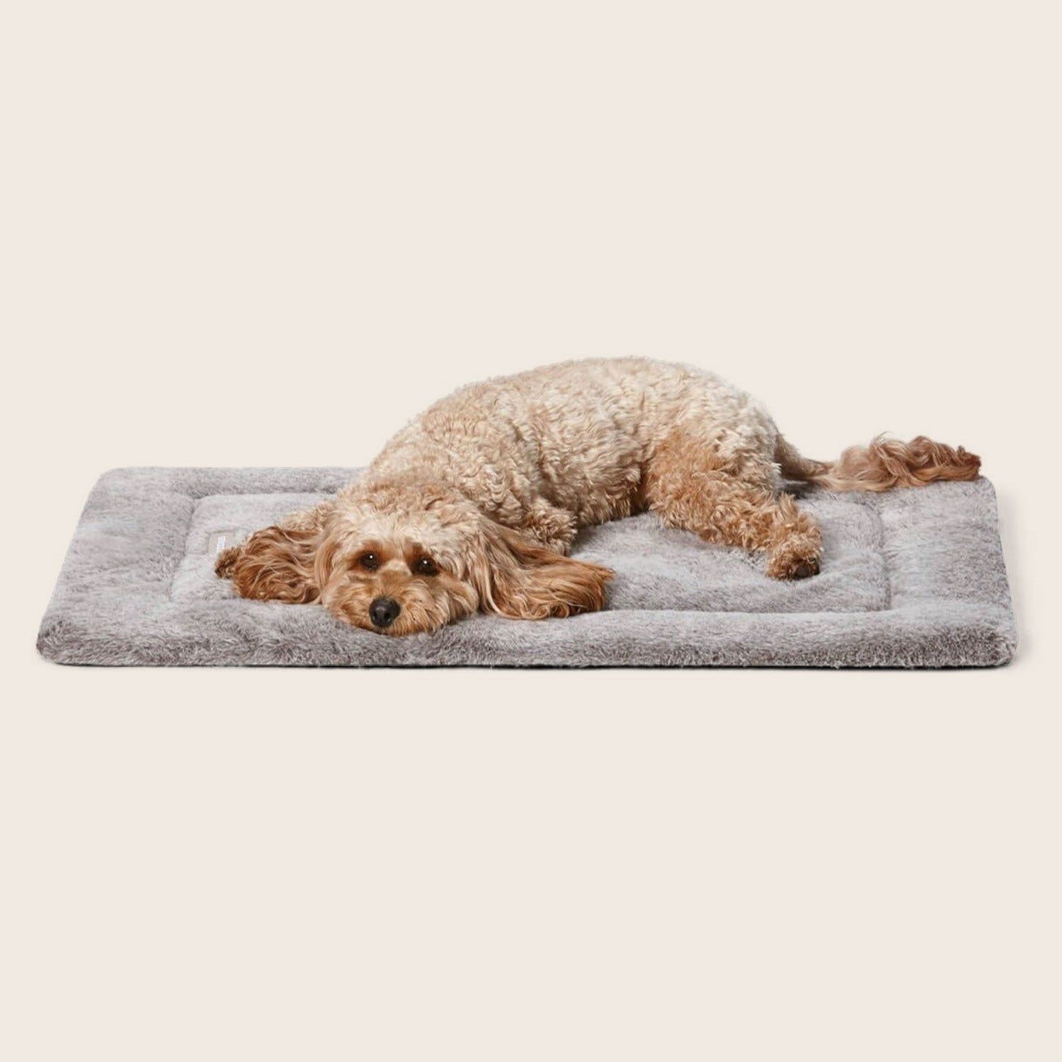 Heat reflective dog bed hotsell