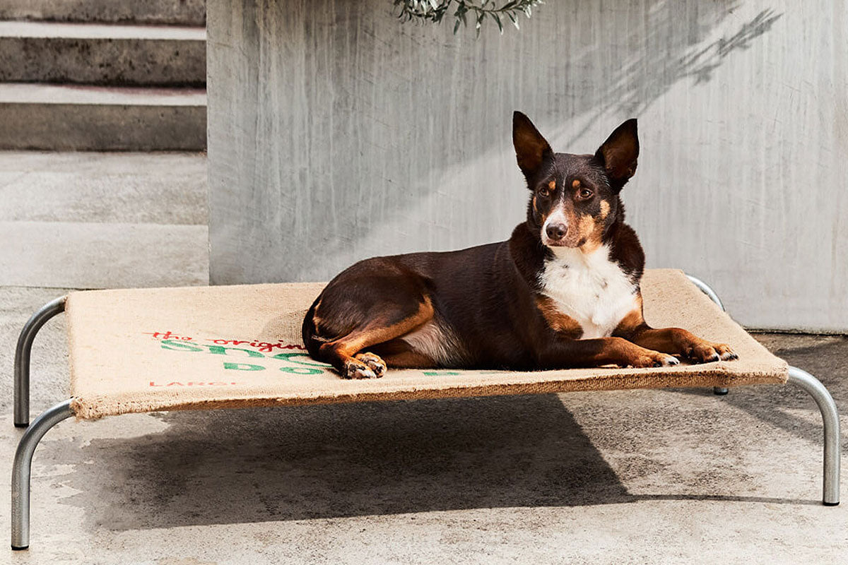 Dog mattresses australia best sale