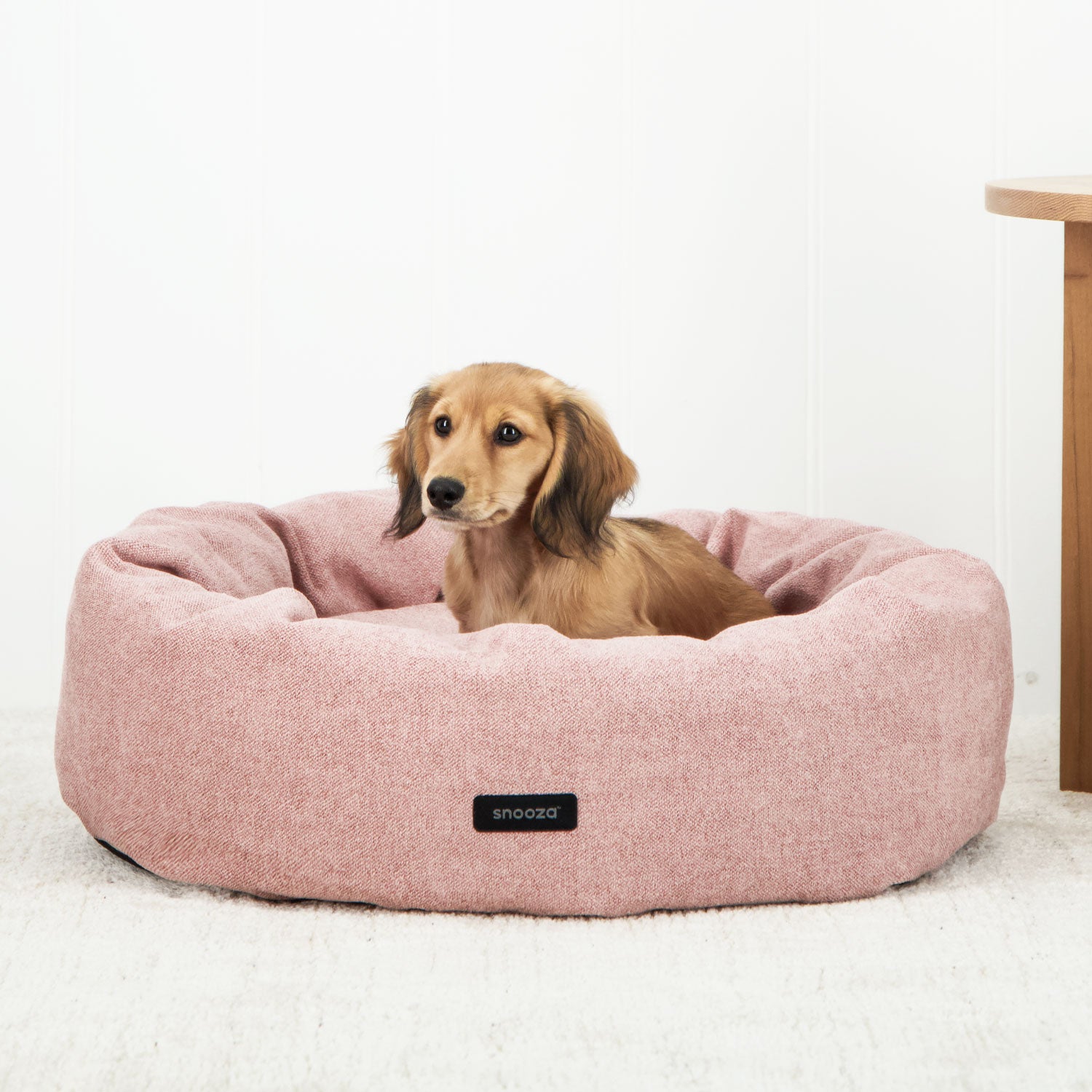 Dog beds australia online hotsell