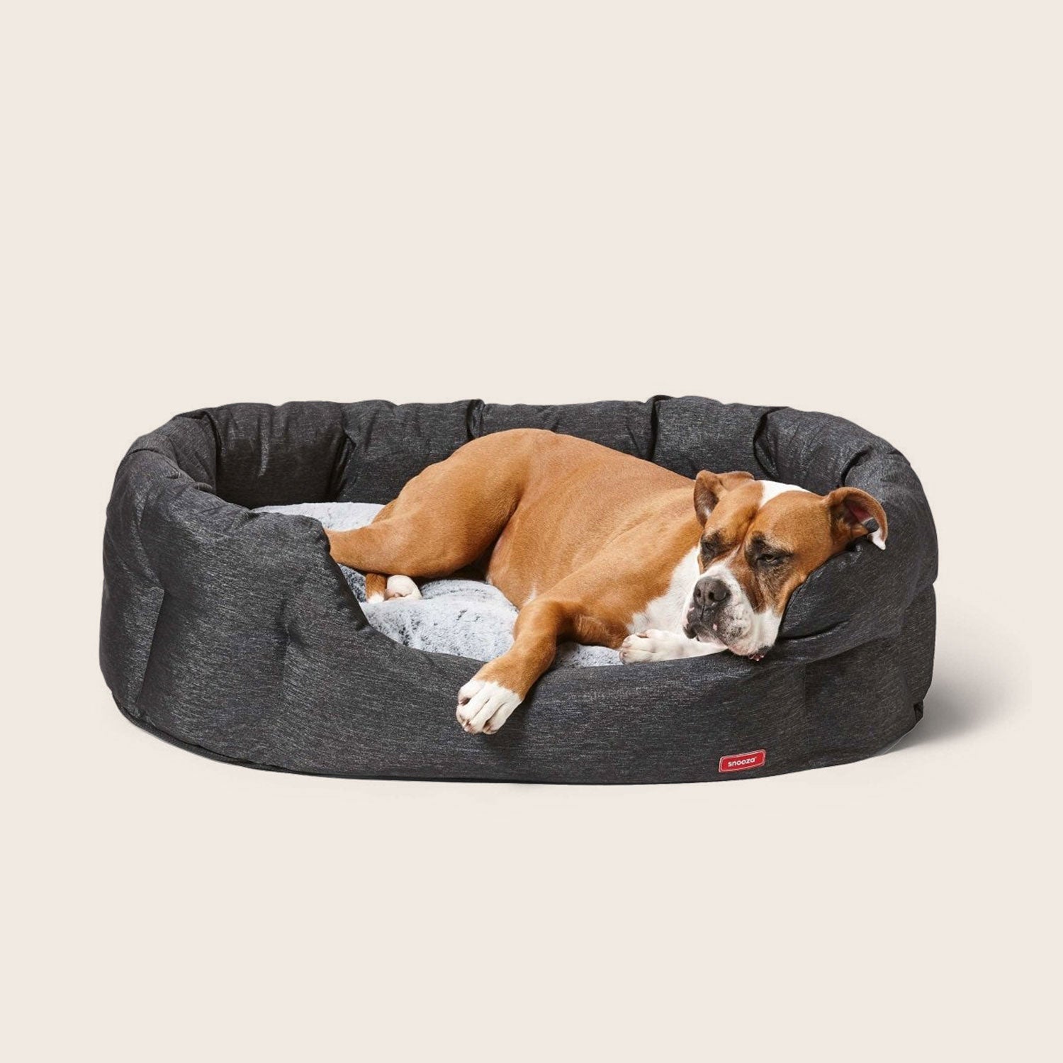 Tough Dog Beds from Snooza Australia