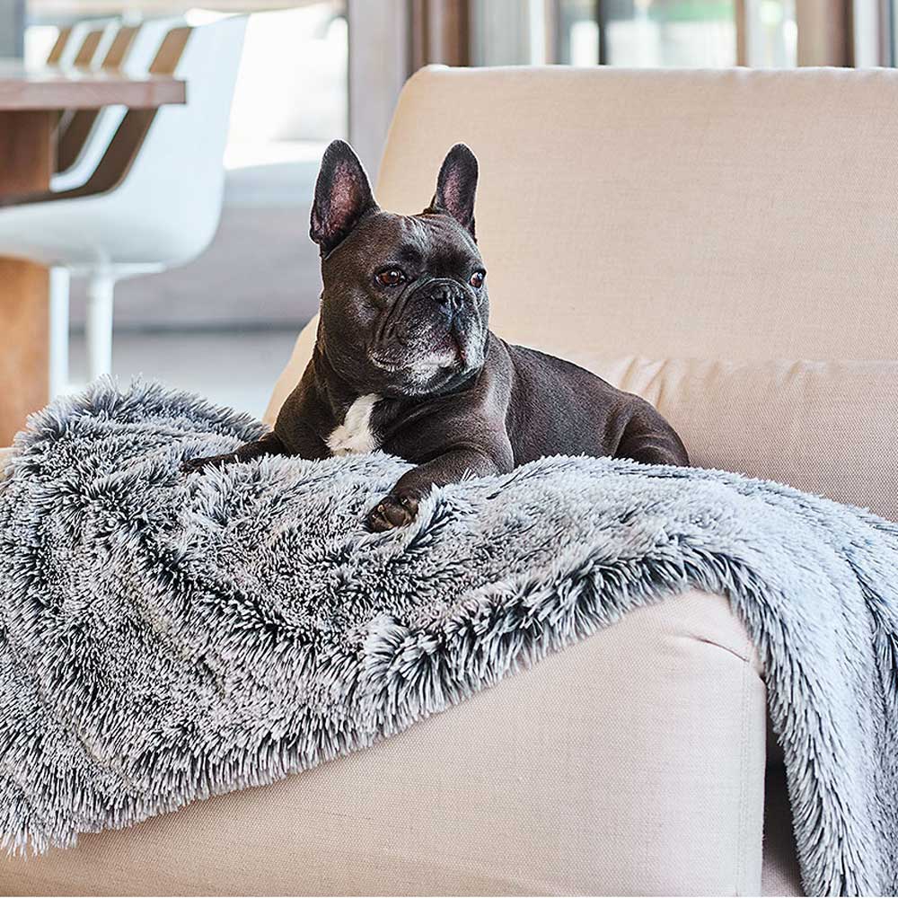 Calming Dog Blanket in Silver Fox | Buy Direct at Snooza Dog Beds