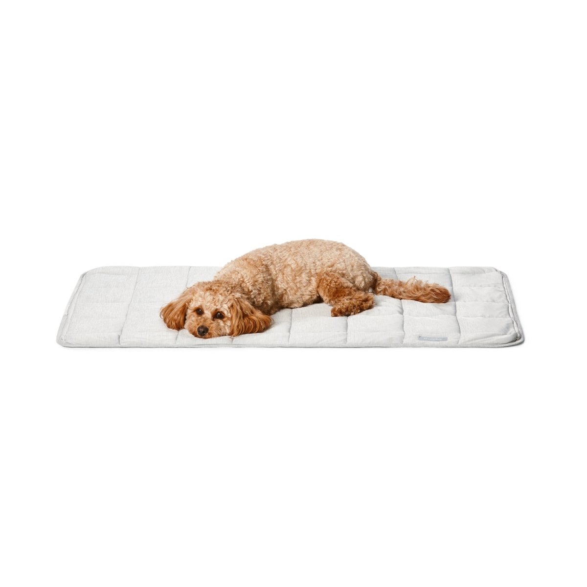 Cooling Comfort Blanket | Buy Direct at Snooza Dog Beds