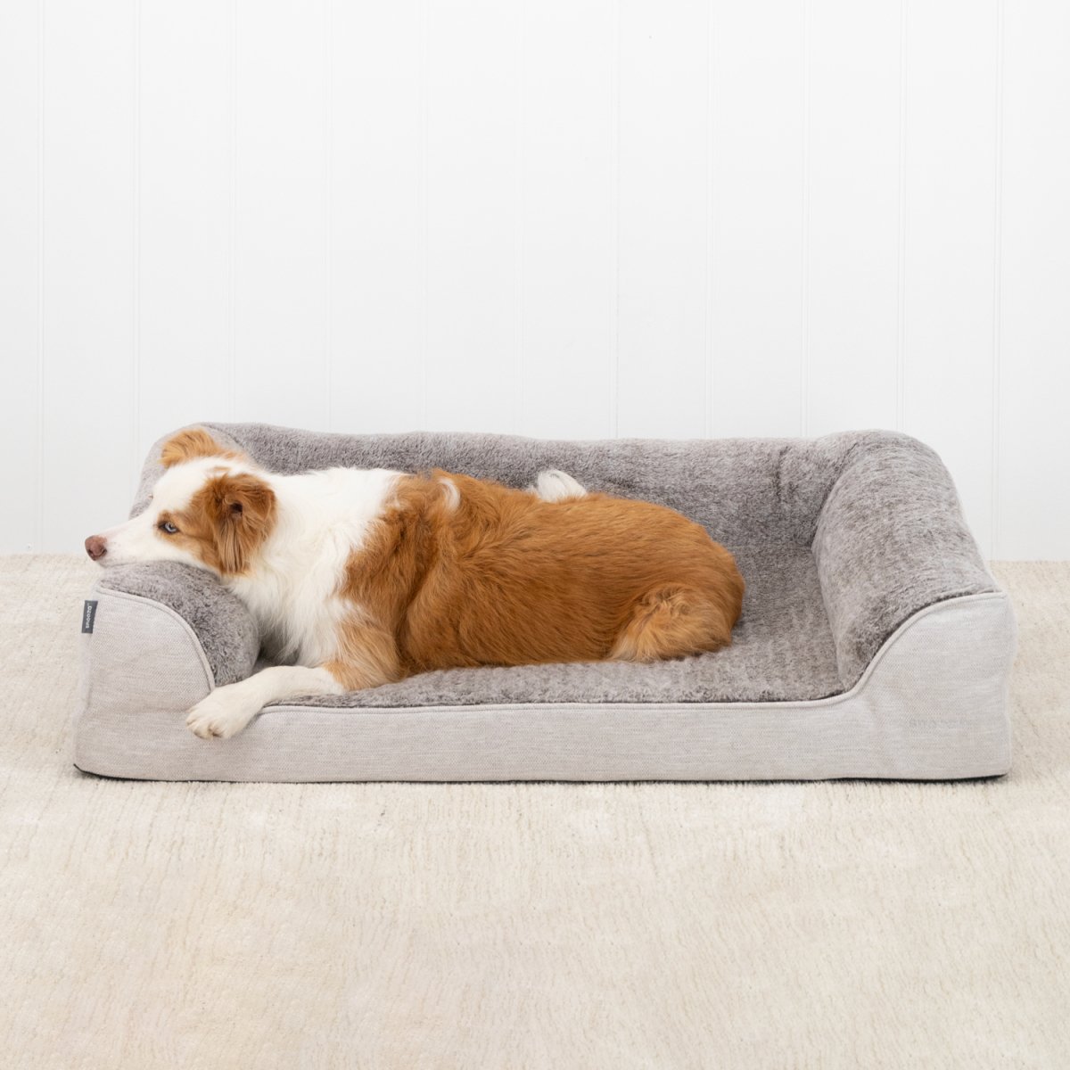 Dream Sofa Dog Bed | Buy Direct at Snooza Dog Beds