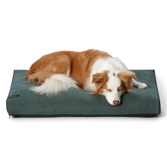 Modern Dog Daybed in Emerald Green | Buy Direct at Snooza Dog Beds