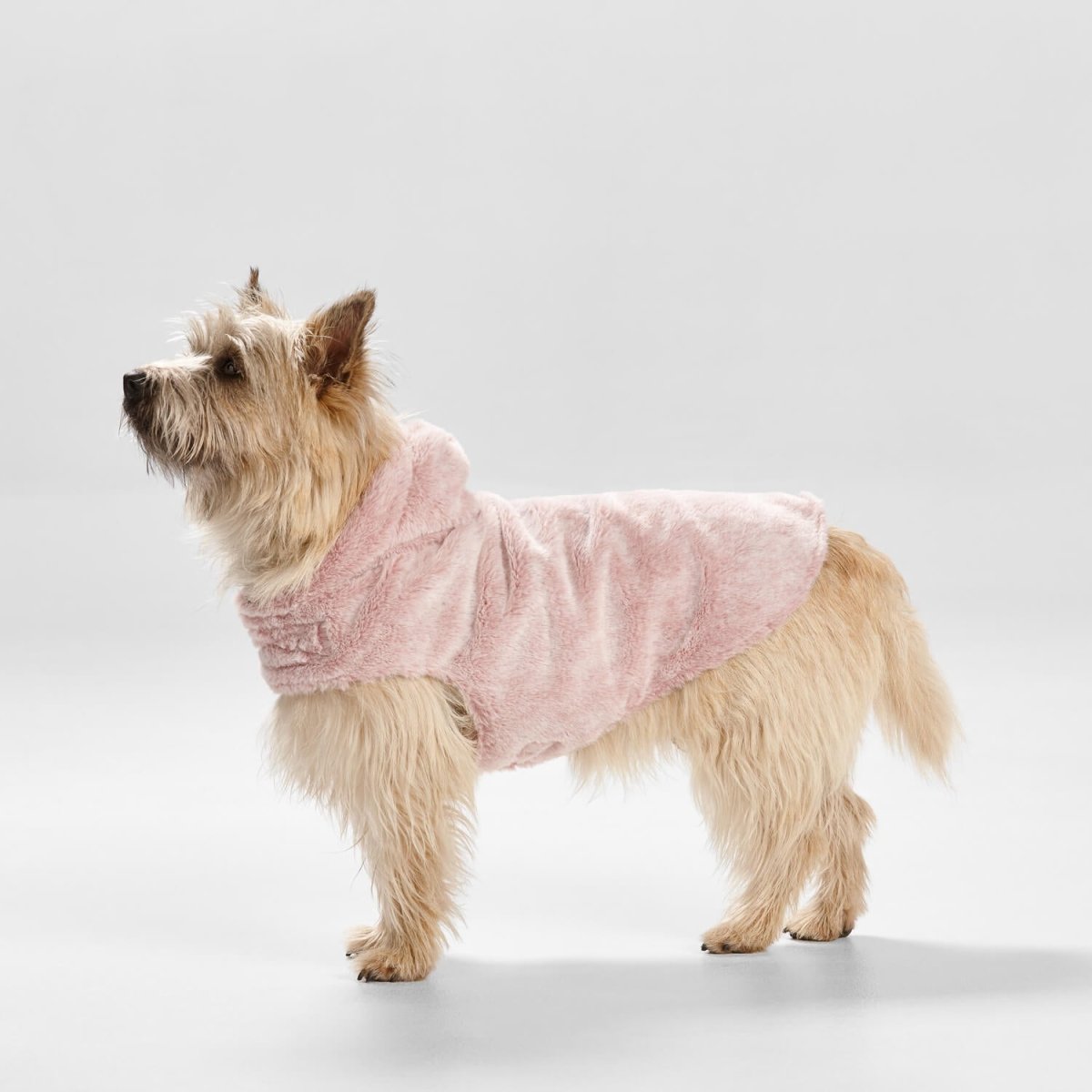 Faux shearling dog coat best sale