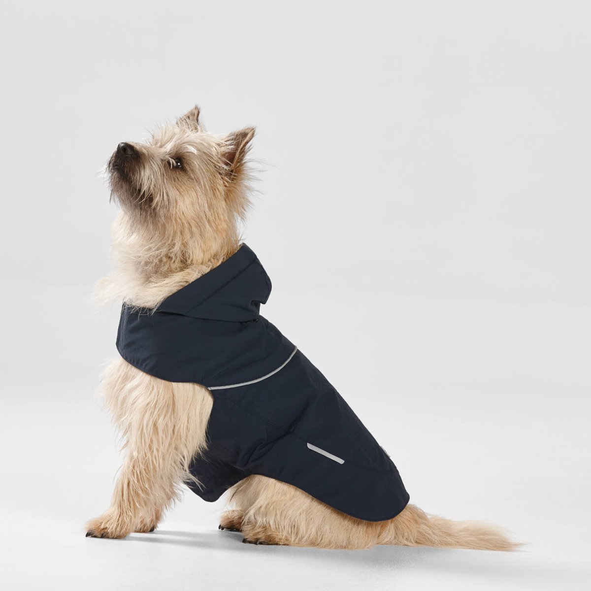 Ripstop Dog Raincoat with Hood | Buy Direct at Snooza Dog Beds