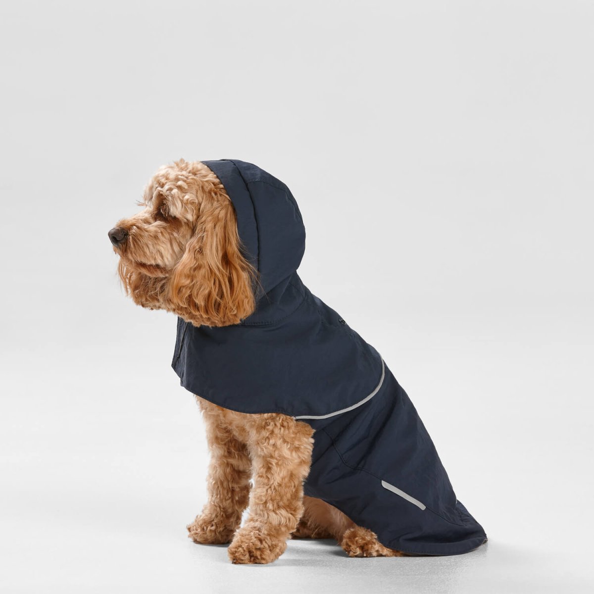 Dog raincoat with hood uk best sale