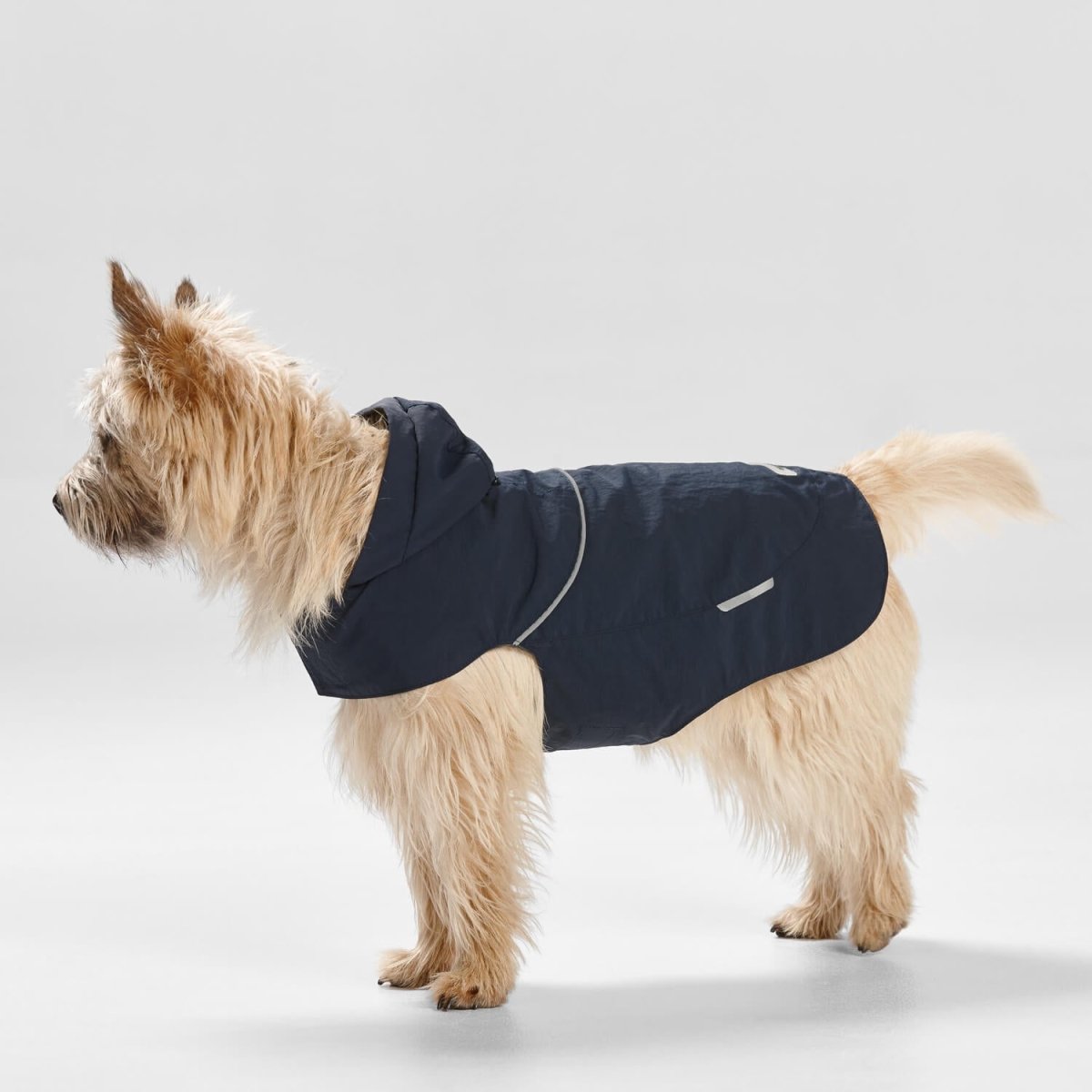 Ripstop Dog Raincoat with Hood | Buy Direct at Snooza Dog Beds