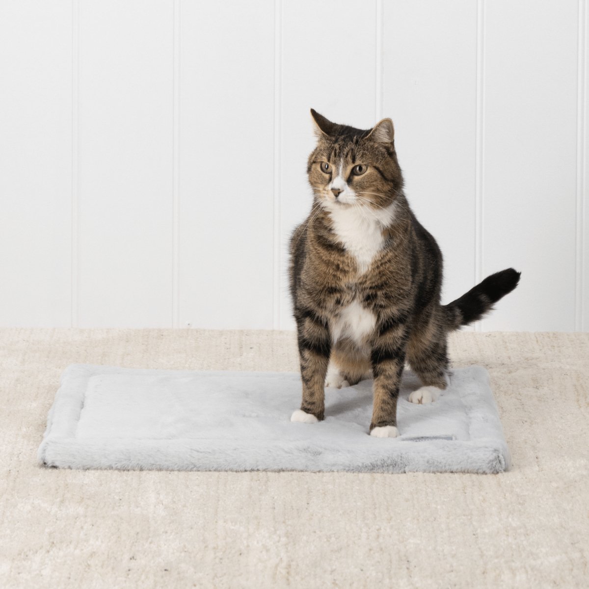 Snooza Self Warming Cat Mat Buy Direct