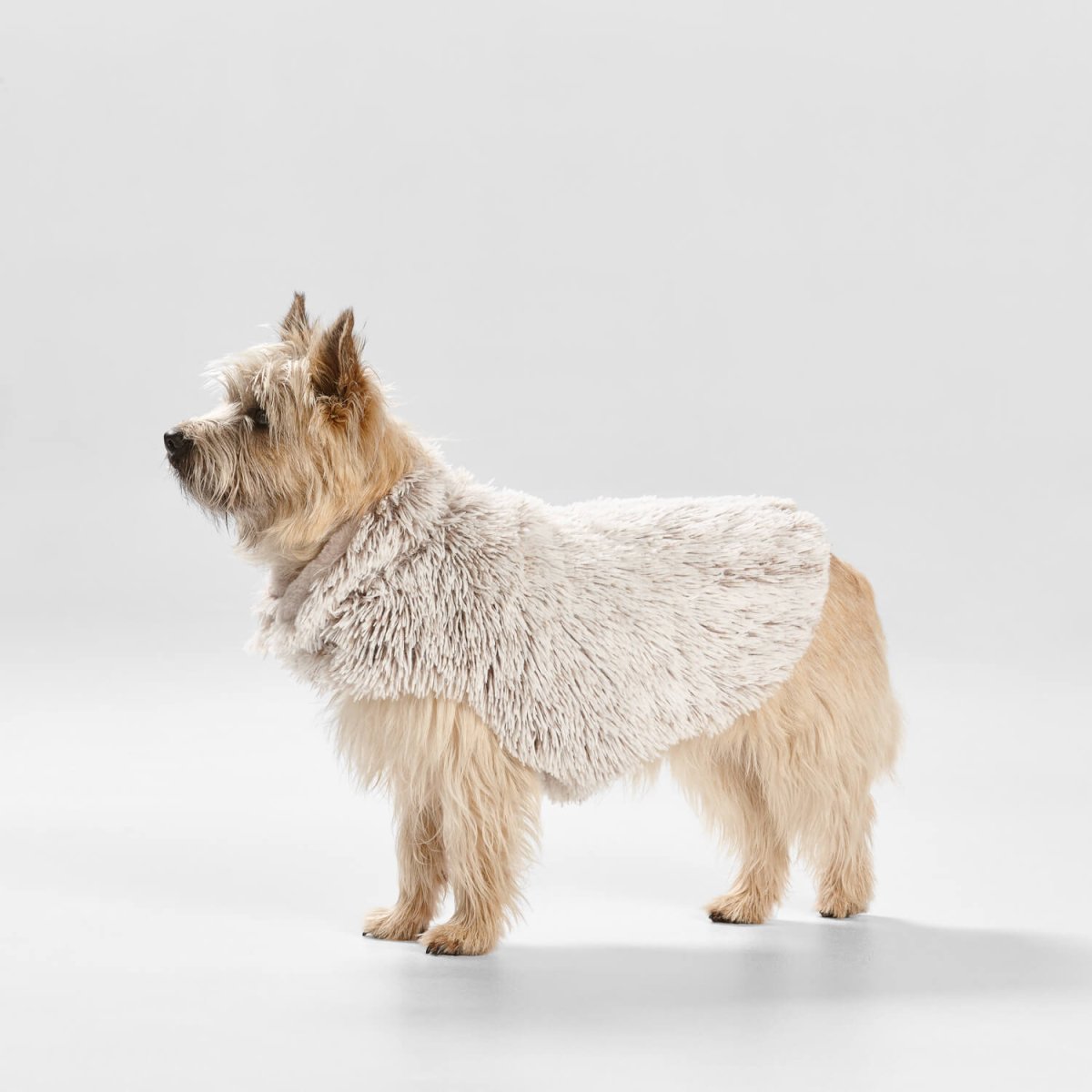 Faux Fur Shag Dog Coat in Mink Buy Direct at Snooza