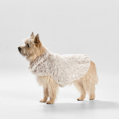 Shag Faux Fur Dog Coat in Mink | Buy Direct at Snooza Dog Beds