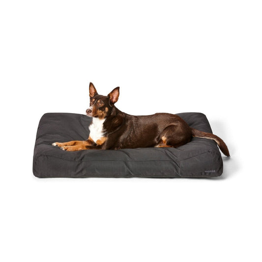 Ultra - Tuff Lounger Black | Buy Direct at Snooza Dog Beds