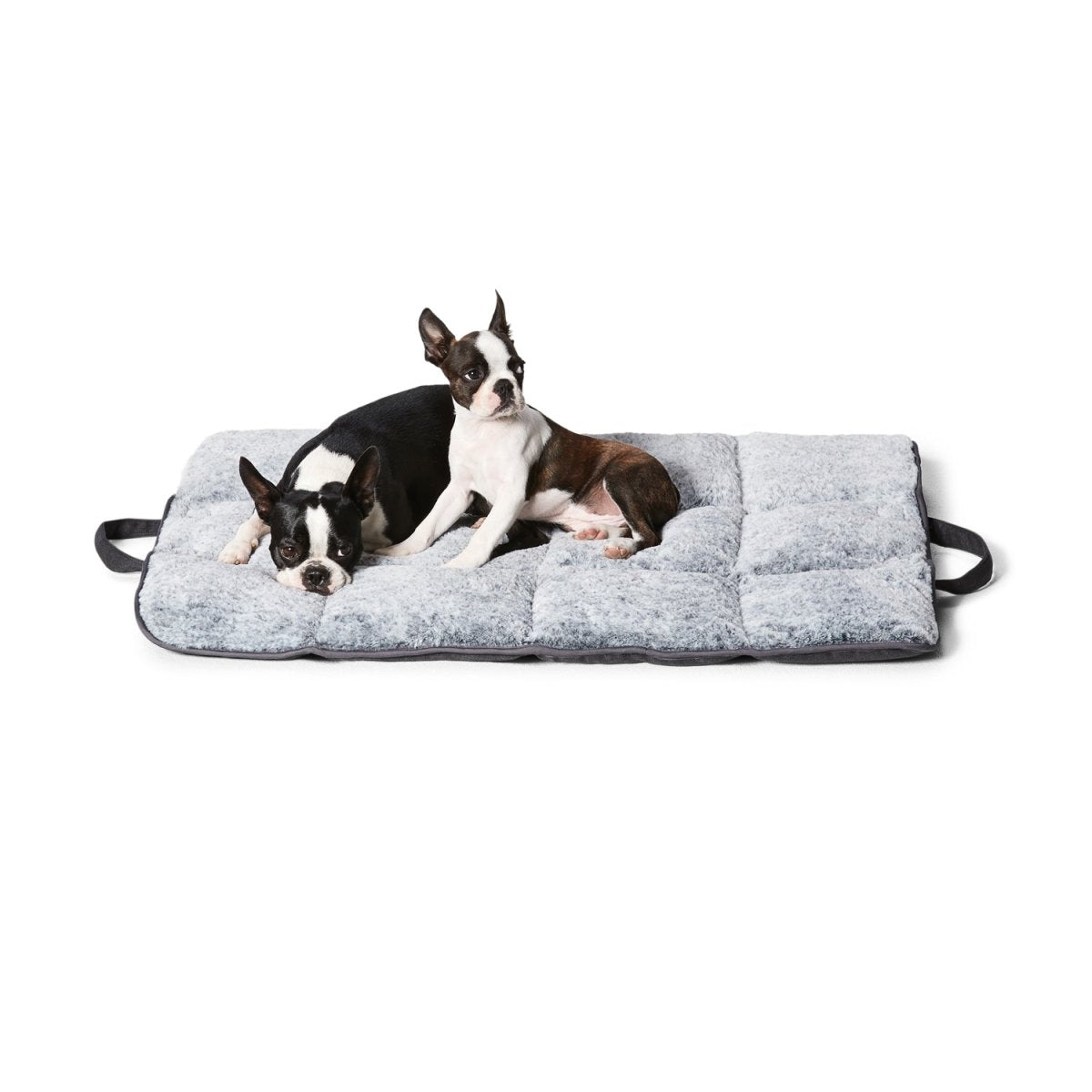 Dog travel sale mat